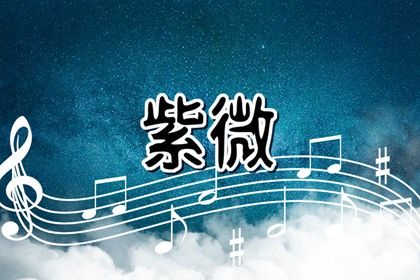 紫薇斗数富贵格局 六吉星落于命宫则天生龙凤富贵无比 紫薇斗数富贵格局 六吉星落于命宫则天生龙凤富贵无比