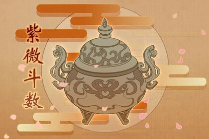 什么是紫薇之命 紫薇之命的命运如何分析 什么是紫薇之命 紫薇之命的命运如何分析