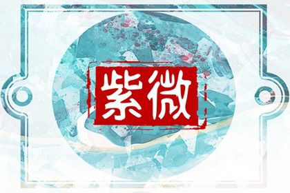 富贵紫薇命盘 紫薇斗数富贵如何详解 富贵紫薇命盘 紫薇斗数富贵如何详解