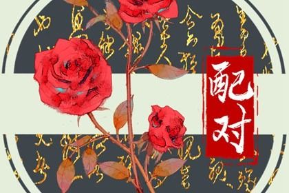 男女婚配生辰八字查询 五行合婚配对表解析 男女婚配生辰八字查询 五行合婚配对表解析