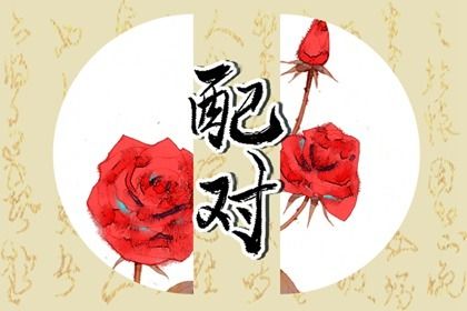 八字看配偶星 八字日柱看配偶长相 八字看配偶星 八字日柱看配偶长相