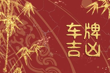 100分的车牌号码大全 利财运的字母和数字 100分的车牌号码大全 利财运的字母和数字