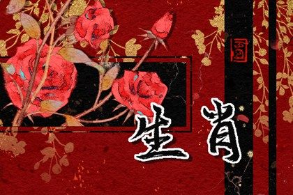 属龙的和属蛇的婚配好不好 蛇和龙的属相合不合 属龙的和属蛇的婚配好不好 蛇和龙的属相合不合