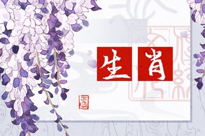 属兔和属猪的婚配好不 属兔和属猪的婚配合吗 属兔和属猪的婚配好不 属兔和属猪的婚配合吗
