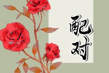 属马的和哪个属相相冲 鸡和马刑克 属马的和哪个属相相冲 鸡和马刑克