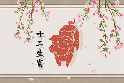 最克猪的属相 属猪人的贵人是谁 最克猪的属相 属猪人的贵人是谁