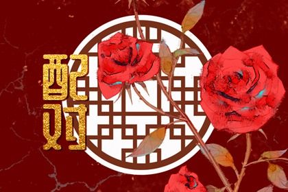 结婚到底看不看属相 十二属相婚配表 结婚到底看不看属相 十二属相婚配表