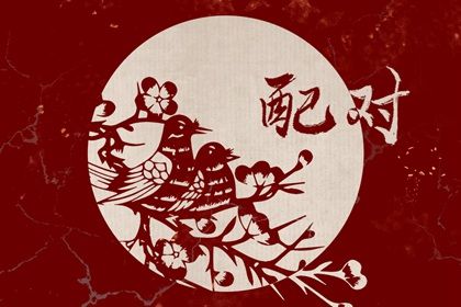 1993年和2001年相配吗 二人协力共处多可有家庭之美满 1993年和2001年相配吗 二人协力共处多可有家庭之美满