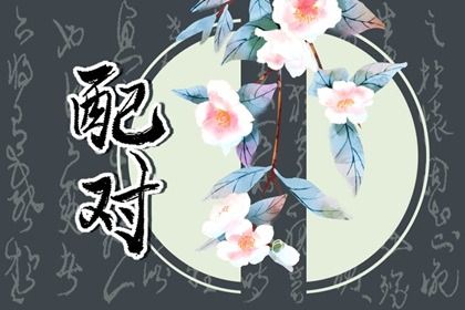 1991年和1998年相配吗 个性迥异是吵吵闹闹的一对 1991年和1998年相配吗 个性迥异是吵吵闹闹的一对