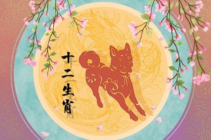 2024年属狗是什么命 总体发展趋于稳定 2024年属狗是什么命 总体发展趋于稳定