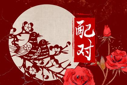 2003年和1993年的合适吗 属于下等婚配则感情趋于平淡 2003年和1993年的合适吗 属于下等婚配则感情趋于平淡