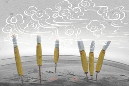 诸葛测字第116签解签 诸葛神算在线 诸葛测字第116签解签 诸葛神算在线