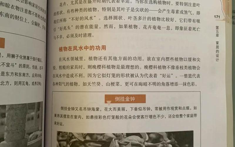 植物与风水的书