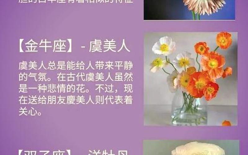 每个属相的幸运花是什么 每个属相的幸运花是什么