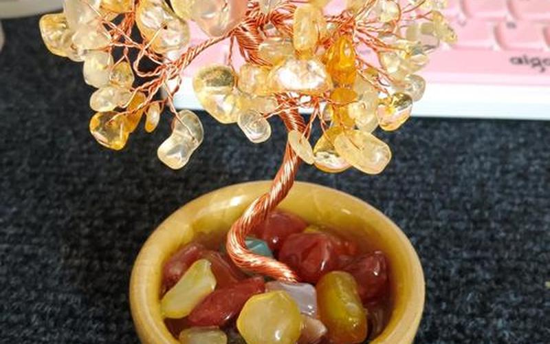 风水学植物摆放位置详解 风水学植物摆放位置详解