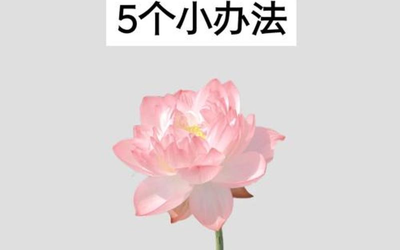 风水学财运暴涨方法