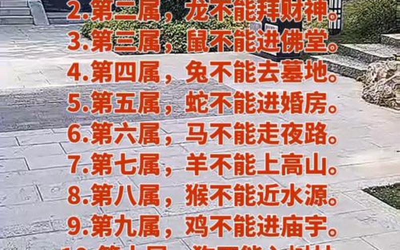 属相禁忌顺口溜大全集 属相禁忌顺口溜大全集