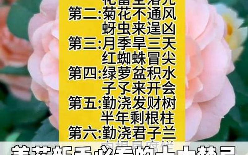 花草风水禁忌 花草风水禁忌