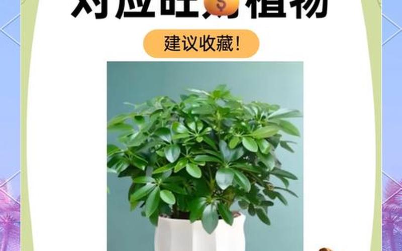 每个属相对应的植物有哪些 每个属相对应的植物有哪些