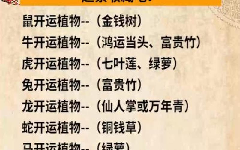 属什么生肖种什么植物 属什么生肖种什么植物