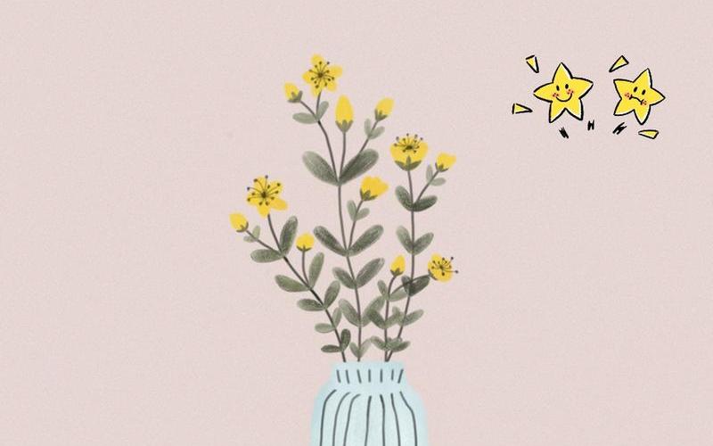 各个属相的吉祥植物是什么 各个属相的吉祥植物是什么