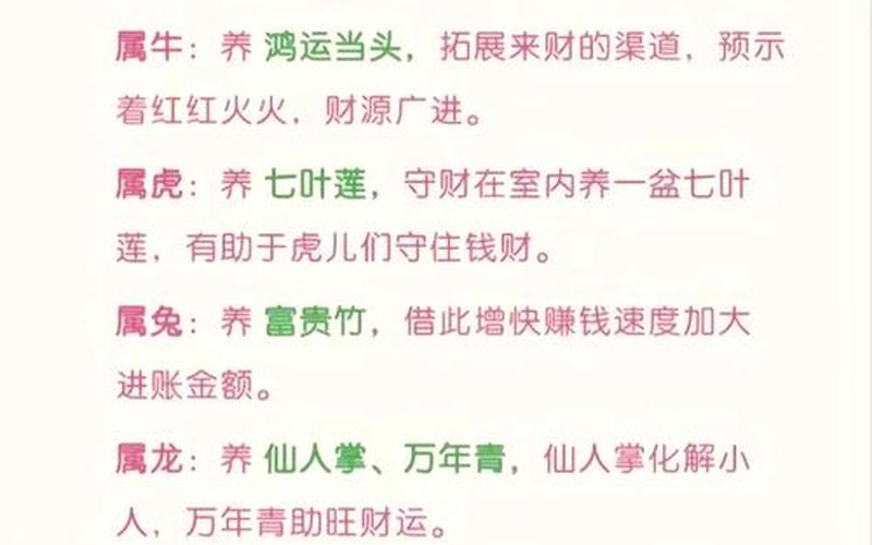 每个属相风水花卉有哪些 每个属相风水花卉有哪些