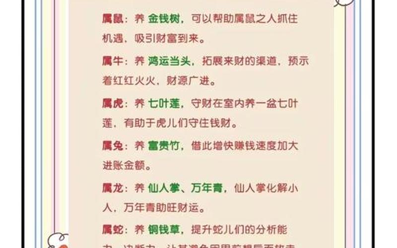 各种属相养什么花 各种属相养什么花