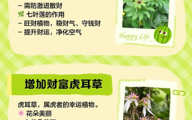 植物在风水中属什么属性