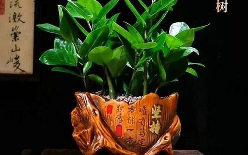 生肖配对绿植 生肖配对绿植