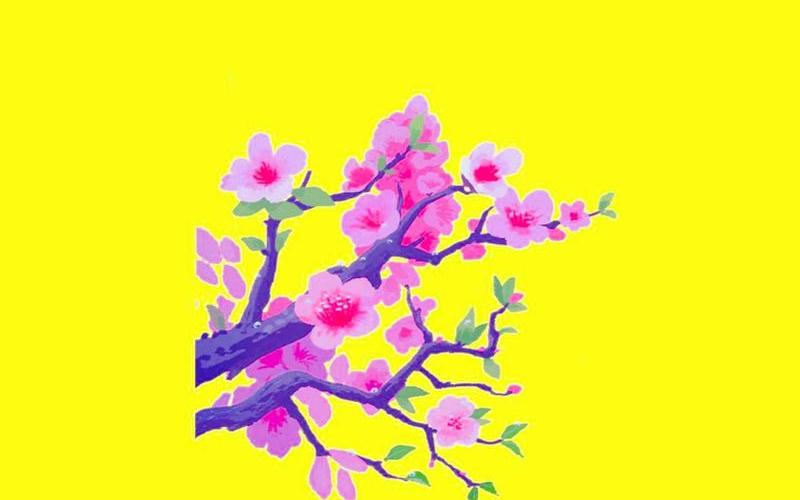 植物与十二生肖关联