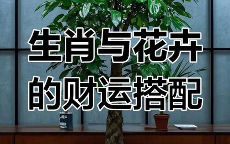 各个属相适合养什么花 各个属相适合养什么花