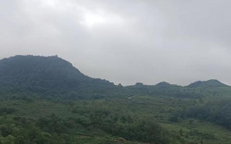 生肖朝向 生肖朝向