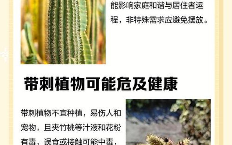 带刺植物风水禁忌 带刺植物风水禁忌