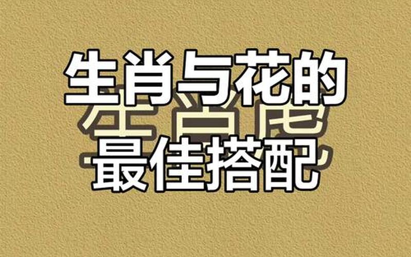 每个属相对应的花