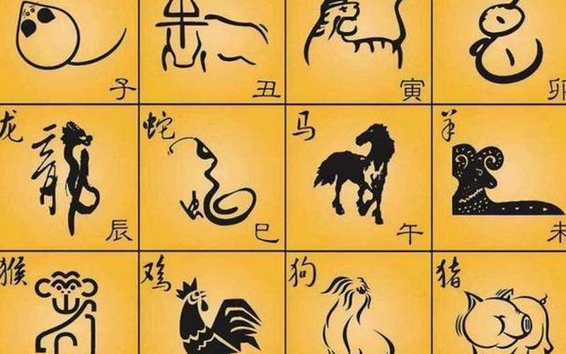 属相属于什么学