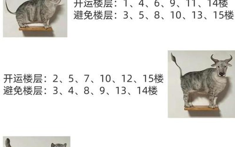 属相选择楼层 属相选择楼层