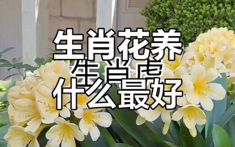 属相适合的花有哪些 属相适合的花有哪些