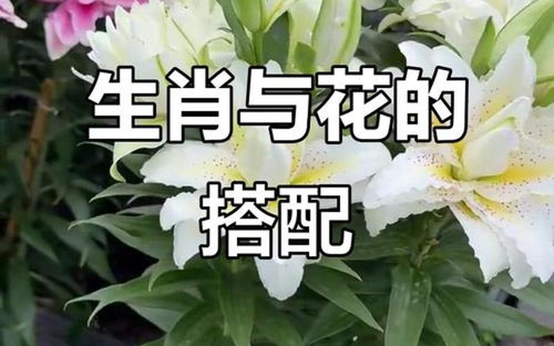 属相养花风水好不好 属相养花风水好不好
