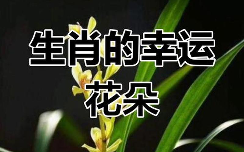 属相配什么花 属相配什么花
