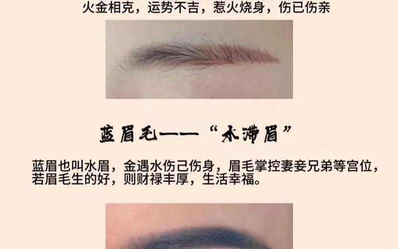 关于眉毛的风水运势 关于眉毛的风水运势