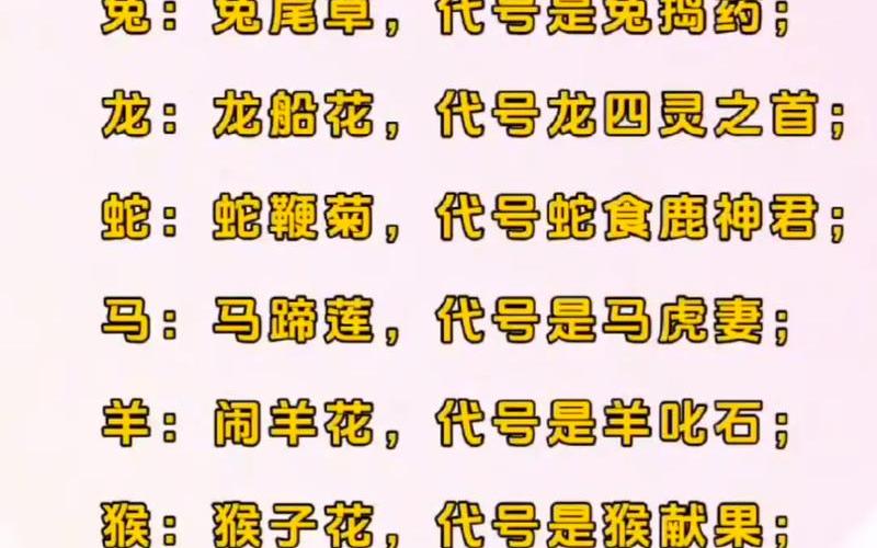 属相对应的花名