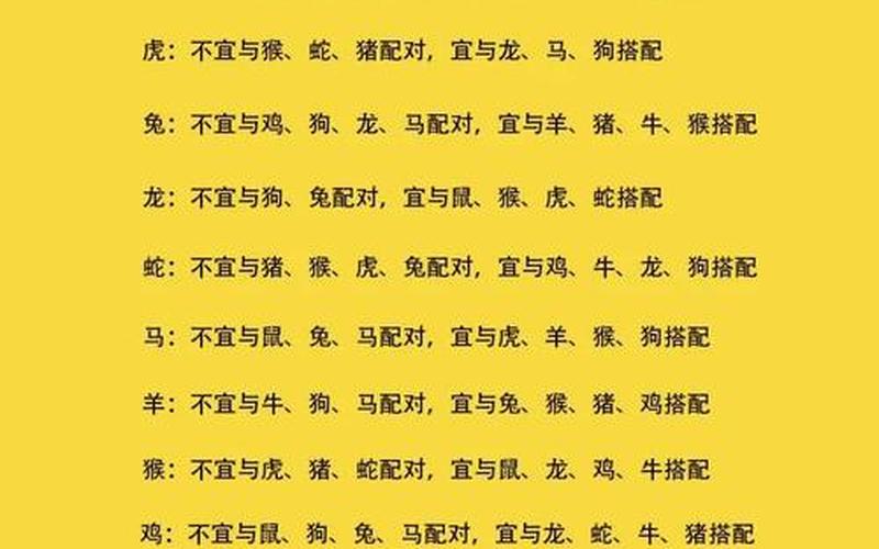 属相宜忌