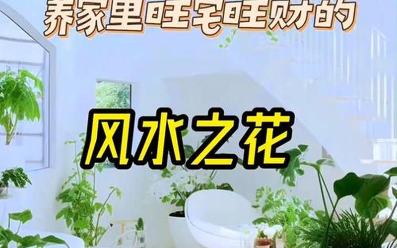 属相养花风水 属相养花风水