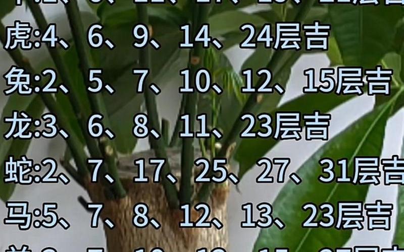 属相住哪层楼最好吉利 属相住哪层楼最好吉利