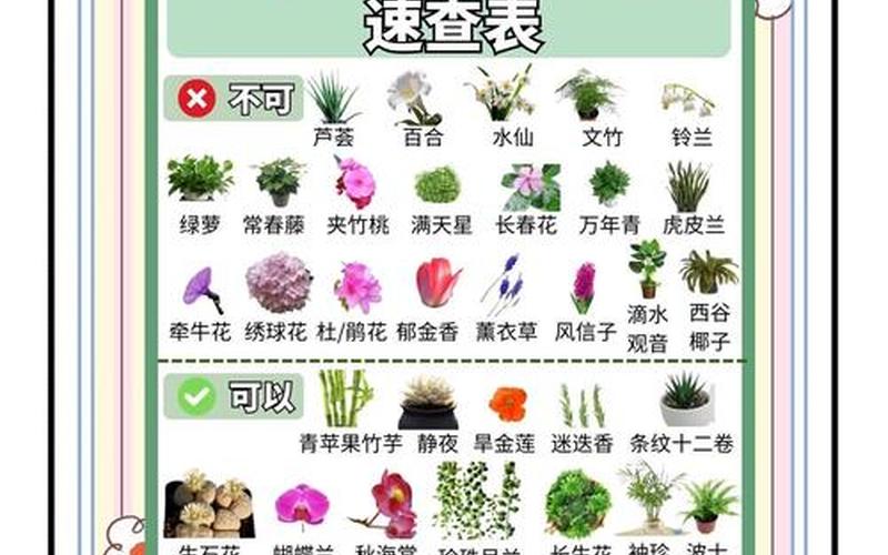 植物属性是什么意思