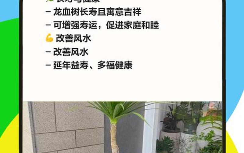 风水阳性植物 风水阳性植物