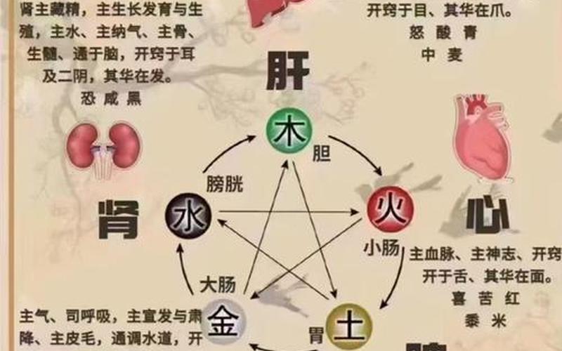 风水相克怎么化解 风水相克怎么化解