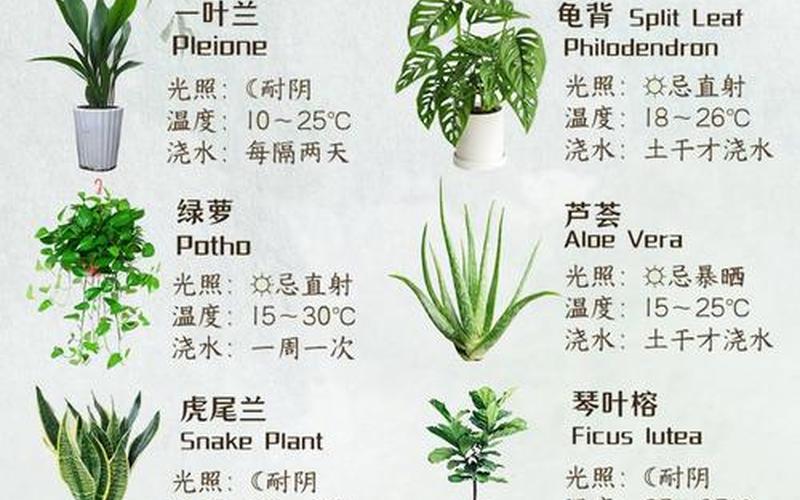 植物风水禁忌图解