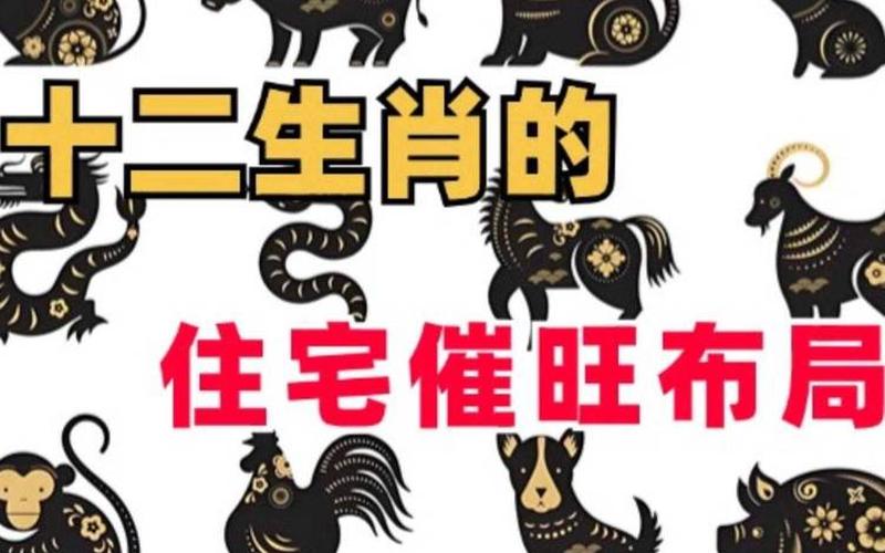 十二生肖家居风水布局