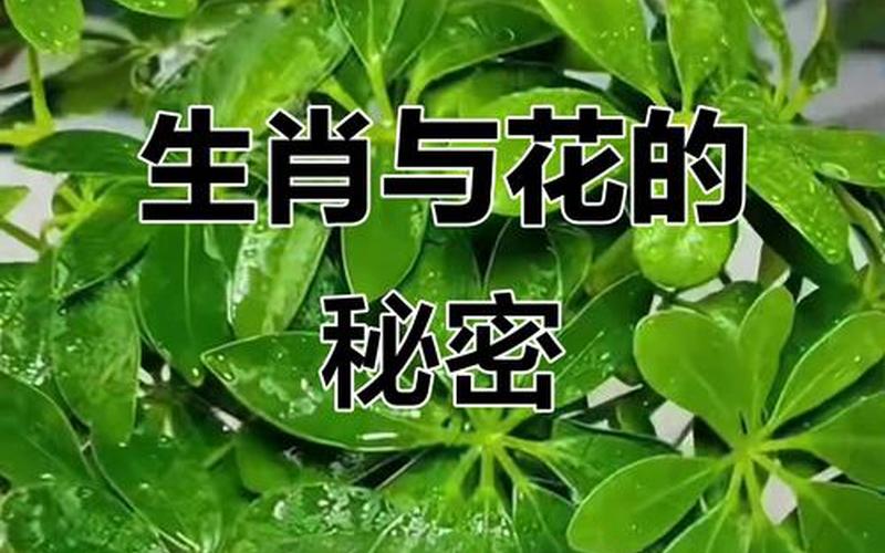 十二属相对应的植物 十二属相对应的植物